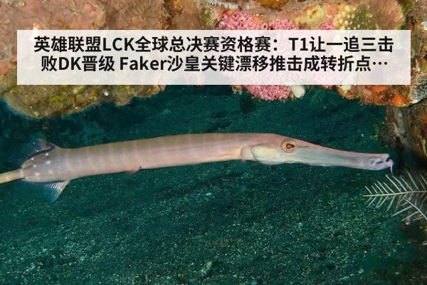 英雄联盟LCK全球总决赛资格赛:T1让一追三击败DK晋级 Faker沙皇关键漂移推击成转折点 全场比赛关键团战与选手表现深度复盘