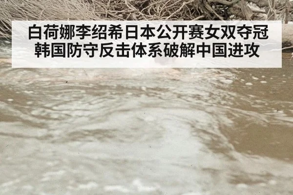 白荷娜李绍希日本公开赛女双夺冠 韩国防守反击体系破解中国进攻